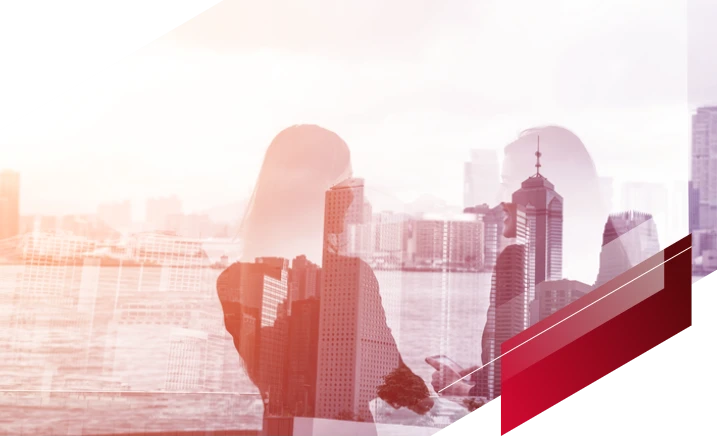 <h2><b>Conta internacional</b></h2>